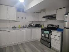Walkout Basement Room for rent looking for a brown female - Photo 2