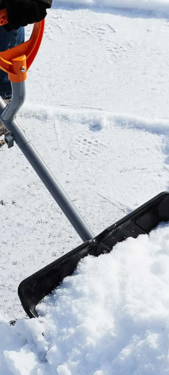 snow shovelers needed