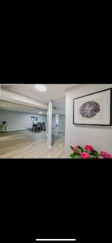 Newly Renovated 2 bedroom basement for rent - Photo 2
