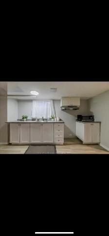 Newly Renovated 2 bedroom basement for rent - Photo 3
