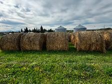Grass Hay For Sale - Photo 2