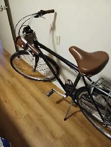 Electra Cruiser Bicycle