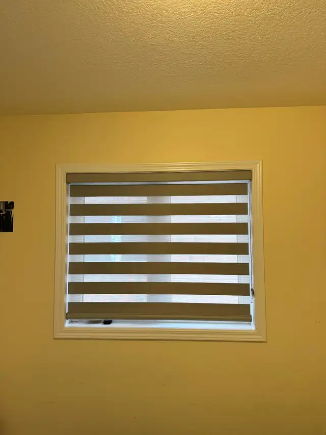 Voice Controlled Blinds – Hands Free