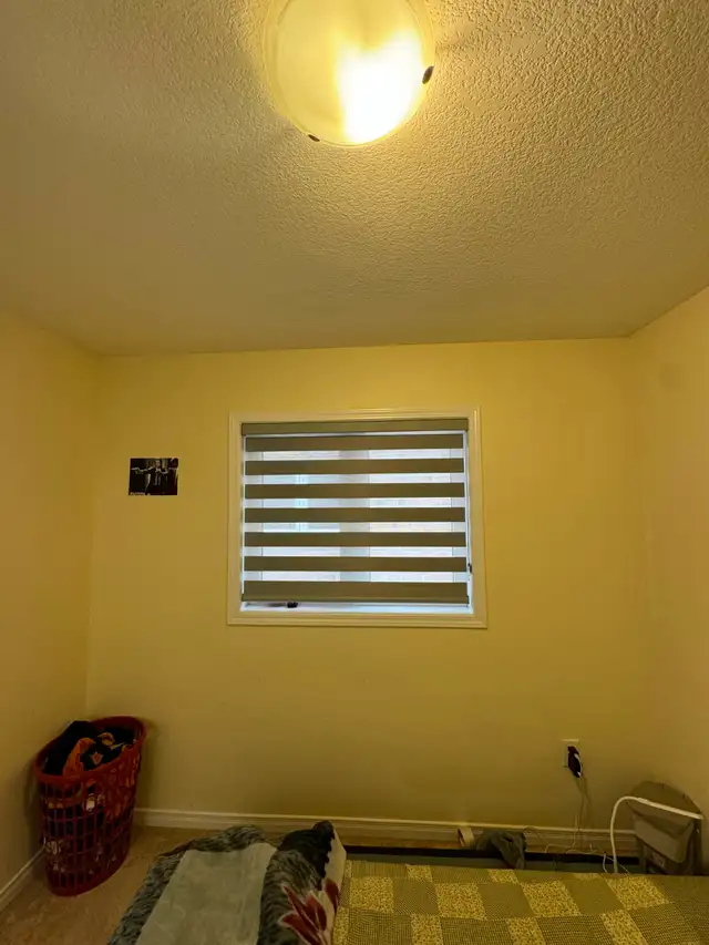Roman Shades for Living Rooms