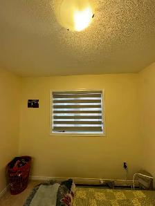 Roman Shades for Living Rooms