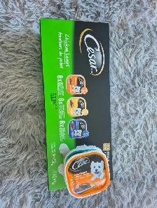 Petmate Sky-Kennel and Assorted Dog Supplies - Photo 6