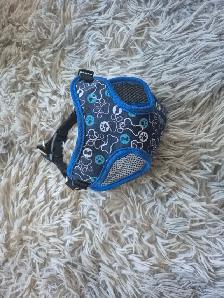 Petmate Sky-Kennel and Assorted Dog Supplies - Photo 8