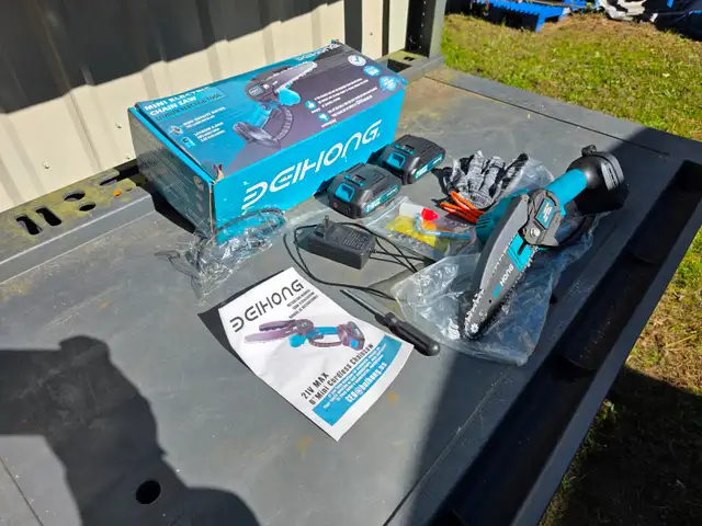 Deihonh 6' 21V Max Mini Chain Saw W 2 Batteries Charger Safety