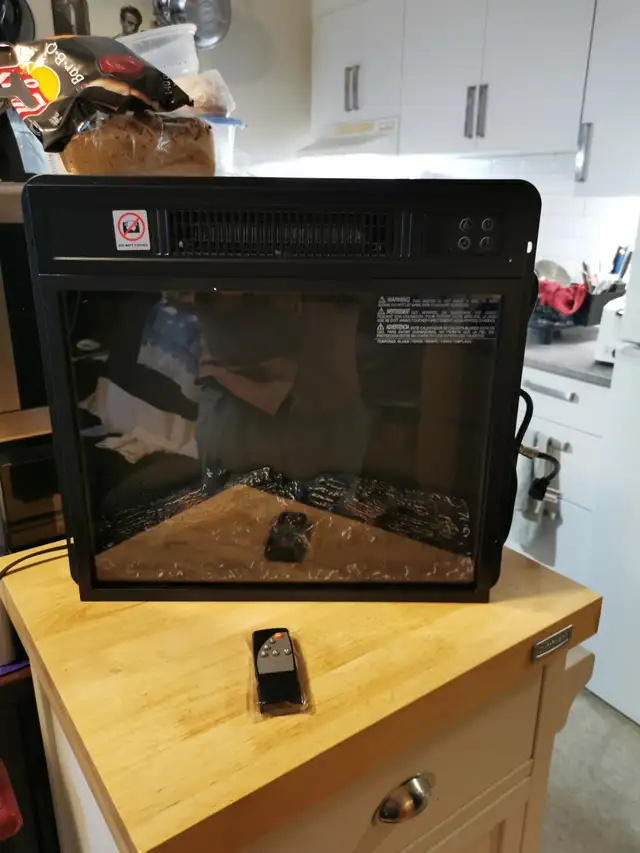 Fireplace insert