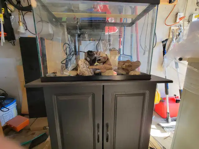 20 Gallon Aquarium For Sale