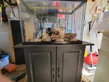 20 Gallon Aquarium For Sale