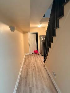 Basement for Rent
