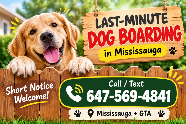 Last-Minute Dog Boarding Mississauga | Pet Sitter Available