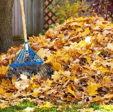 Fall raking leaf service Etobicoke