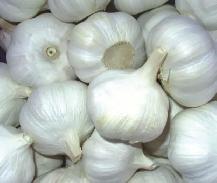 FRESH ORGANIC GARLIC FOR SALE HURRY SELLING QUICK! - Photo 4