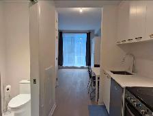 Studio meublé Griffintown - Photo 2