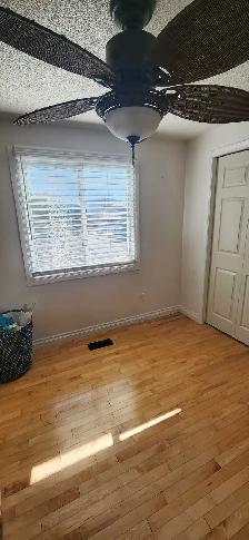 Private room & own private bathroom  Jacuzzi tub..available now - Photo 3