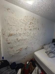 Wanted: Handyman for Drywall Repair & 1 Bedroom Door replacement