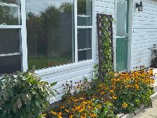 Two Bedroom Apartment for Rent - Photo 5