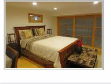 1-Bedroom Walkout Basement apartment Sheppard West Subway - Photo 4