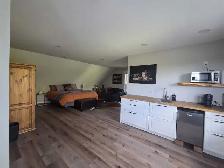 Bachelor suite for rent - Photo 4