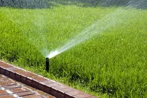 Lawn Sprinkler (irrigation)- blow out - winterize - closing
