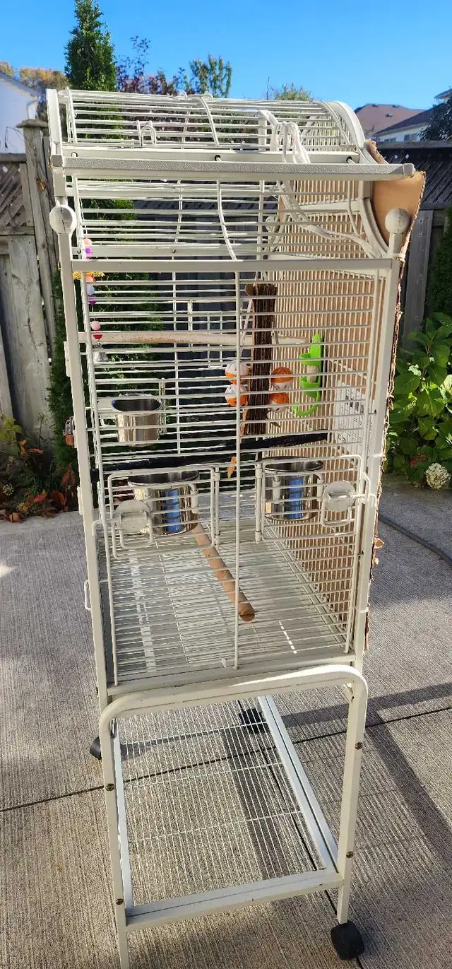 BEAUTIFUL BIRDS CAGE