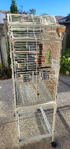 BEAUTIFUL BIRDS CAGE