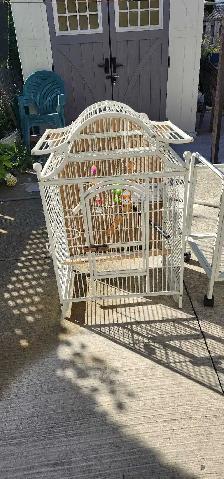 BEAUTIFUL BIRDS CAGE - Photo 4