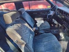 1981 Supra MK1 - Photo 4