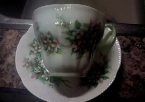 Royal Albert - Orange Blossom