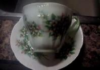 Royal Albert - Orange Blossom