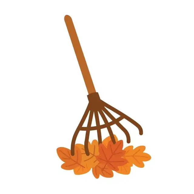 Lawn raking services