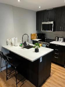 Furnished 2BR, downtown – lease transfer/sublet - Dec/Jan