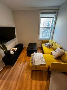 Furnished 2BR, downtown – lease transfer/sublet - Dec/Jan - Photo 4