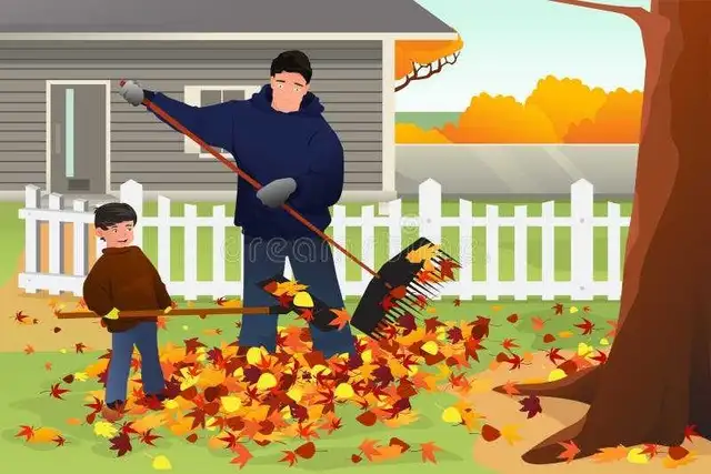 Garden Leaf Rake