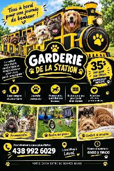 Garderie pour chien