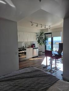 Loft LB9 (3 et 1/2) Lebourgneuf stationnement intérieur inclus - Photo 3