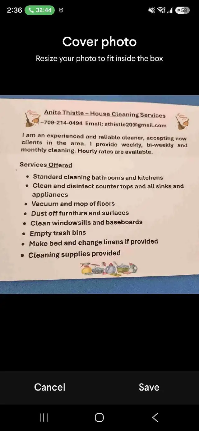 cleaning Lady
