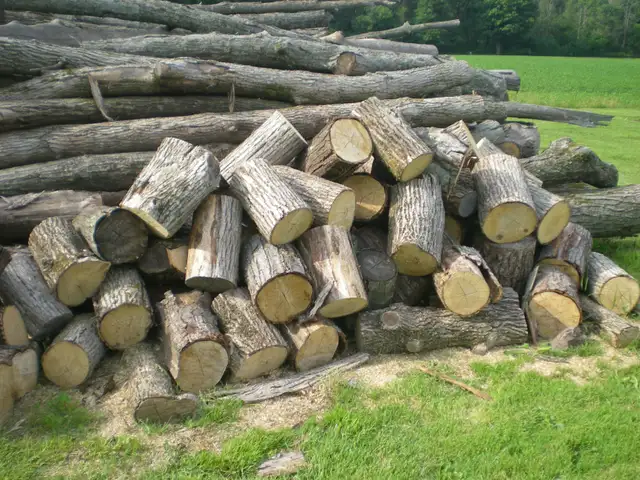 Fire wood