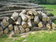 Fire wood