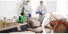 Extermination souris coquerelles fourmis punaises 514-561-8933