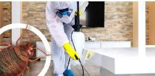 Extermination souris coquerelles fourmis punaises 514-561-8933 - Photo 2