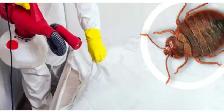 Extermination punaises blattes Fourmis souris 514-561-8933