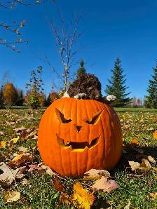 prete pour Halloween - Photo 5