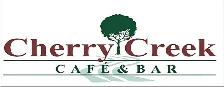 Restaurant server/bartender