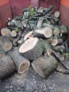 Firewood - Photo 5