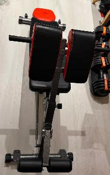 Finer Form Adjustable Weight Bench for sale - Photo 2