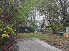Spacious 3 Bedroom House to Rent - Photo 10
