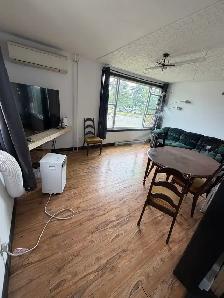 Furnished spacious room for rent in friendly share house - Photo 5